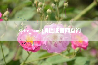 克孜勒苏消控证官网查询