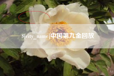 克孜勒苏中国第九金回放