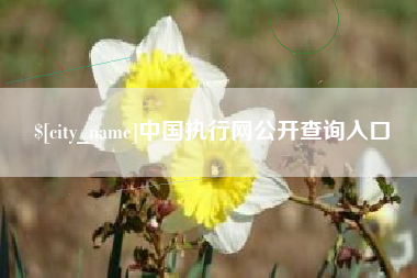克孜勒苏中国执行网公开查询入口