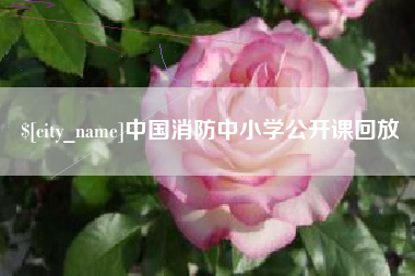 克孜勒苏中国消防中小学公开课回放