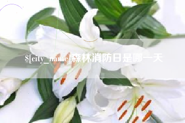 克孜勒苏森林消防日是哪一天