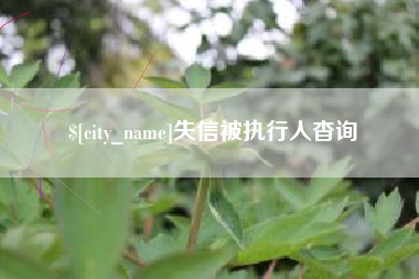 克孜勒苏失信被执行人杳询