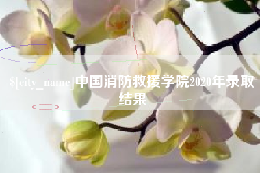 克孜勒苏中国消防救援学院2020年录取结果