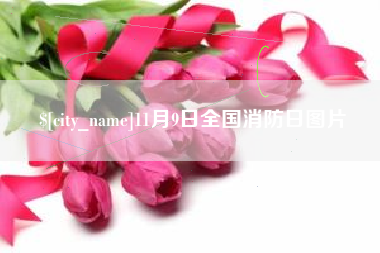 克孜勒苏11月9日全国消防日图片