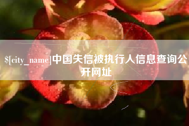 克孜勒苏中国失信被执行人信息查询公开网址