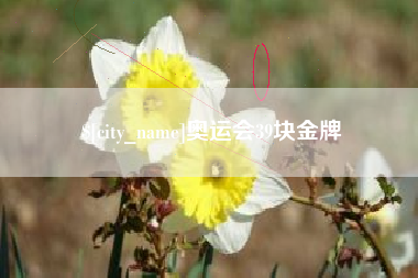 克孜勒苏奥运会39块金牌