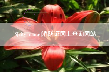 克孜勒苏消防证网上查询网站