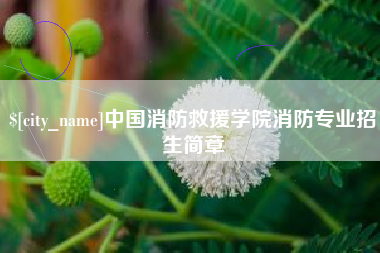 克孜勒苏中国消防救援学院消防专业招生简章