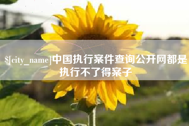 克孜勒苏中国执行案件查询公开网都是执行不了得案子