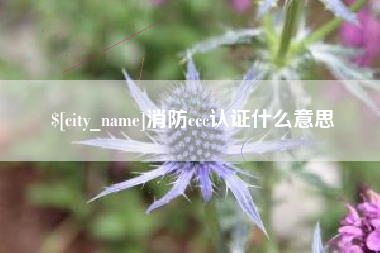 克孜勒苏消防ccc认证什么意思