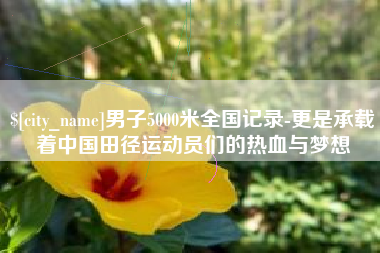 克孜勒苏男子5000米全国记录-更是承载着中国田径运动员们的热血与梦想