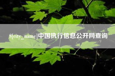 克孜勒苏中国执行信息公开网查询