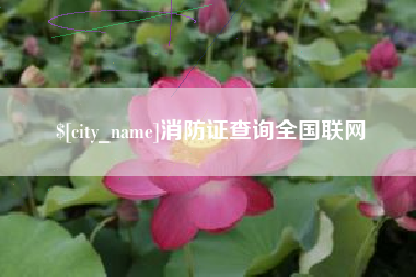 克孜勒苏消防证查询全国联网