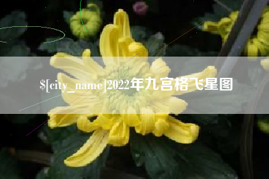 克孜勒苏2022年九宫格飞星图