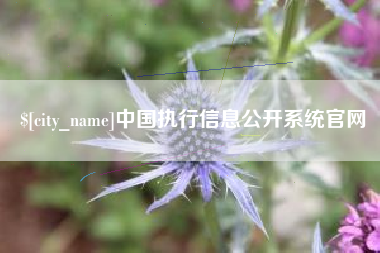 克孜勒苏中国执行信息公开系统官网