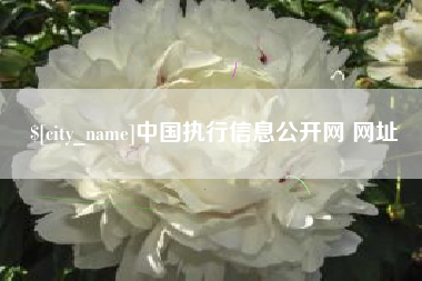 克孜勒苏中国执行信息公开网 网址