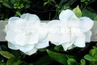 克孜勒苏中国的几块金牌2021