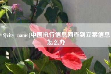 克孜勒苏中国执行信息网查到立案信息怎么办