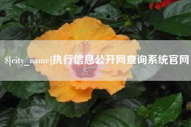 克孜勒苏执行信息公开网查询系统官网