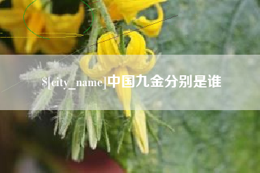 克孜勒苏中国九金分别是谁
