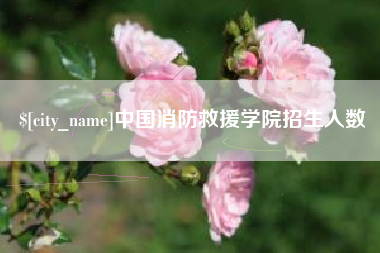 克孜勒苏中国消防救援学院招生人数