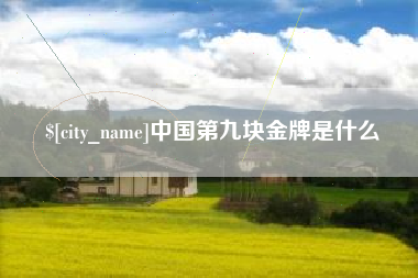 克孜勒苏中国第九块金牌是什么