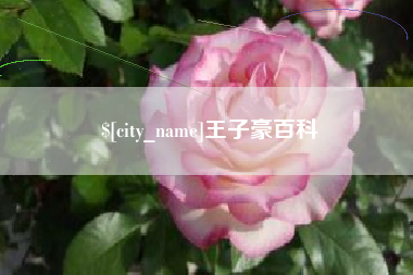 克孜勒苏王子豪百科