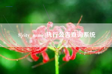 克孜勒苏执行公告查询系统