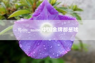 克孜勒苏中国金牌都是啥