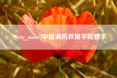 克孜勒苏中国消防救援学院要求