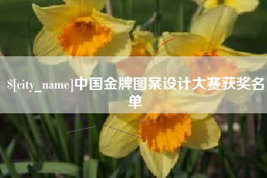 克孜勒苏中国金牌图案设计大赛获奖名单