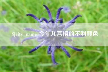 克孜勒苏今年九宫格的不利颜色