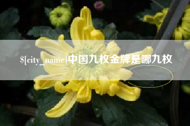 克孜勒苏中国九枚金牌是哪九枚