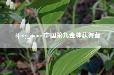 克孜勒苏中国第九金牌获得者