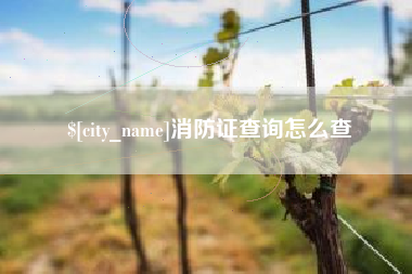 克孜勒苏消防证查询怎么查