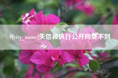 克孜勒苏失信被执行公开网查不到