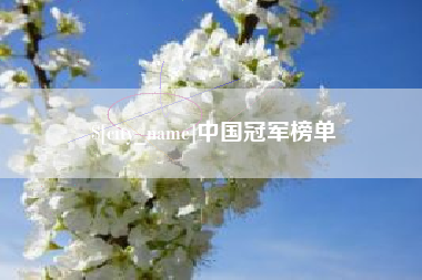 克孜勒苏中国冠军榜单