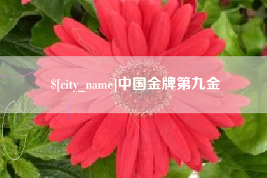克孜勒苏中国金牌第九金