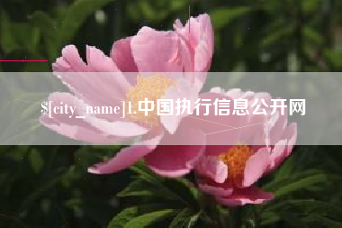 克孜勒苏1.中国执行信息公开网