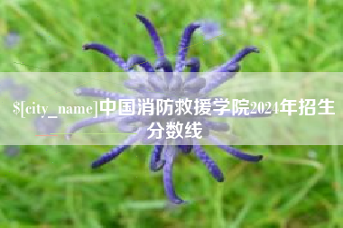 克孜勒苏中国消防救援学院2024年招生分数线