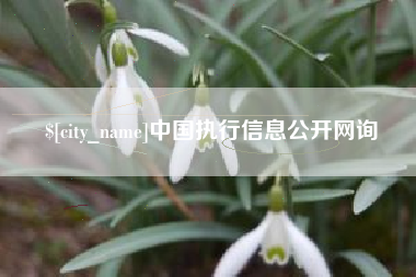 克孜勒苏中国执行信息公开网询