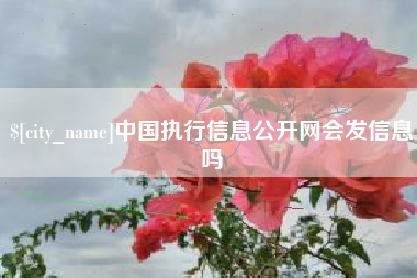 克孜勒苏中国执行信息公开网会发信息吗