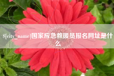 克孜勒苏国家应急救援员报名网址是什么