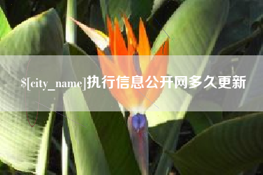 克孜勒苏执行信息公开网多久更新