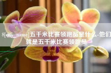 克孜勒苏五千米比赛领跑员是什么-他们就是五千米比赛领跑员