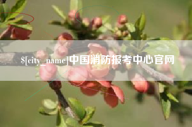 克孜勒苏中国消防报考中心官网