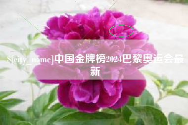 克孜勒苏中国金牌榜2024巴黎奥运会最新