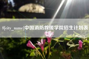 克孜勒苏中国消防救援学院招生计划表