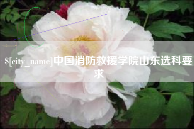 克孜勒苏中国消防救援学院山东选科要求