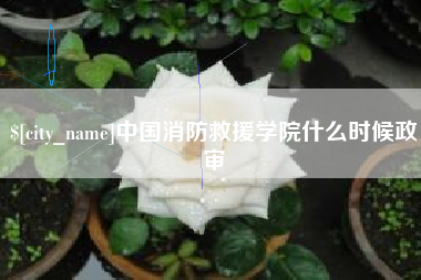 克孜勒苏中国消防救援学院什么时候政审